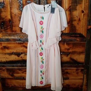 Blush embroidered dress